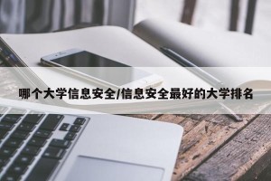 哪个大学信息安全/信息安全最好的大学排名
