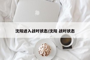 沈阳进入战时状态/沈阳 战时状态