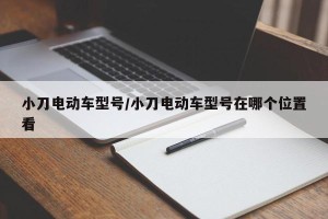 小刀电动车型号/小刀电动车型号在哪个位置看