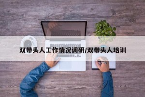 双带头人工作情况调研/双带头人培训